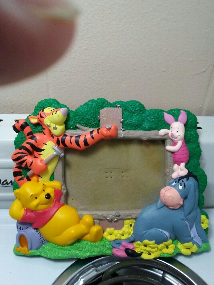 Disney Picture Fraim.