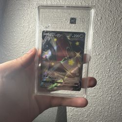 TAG 10 CHAMPION ZARD TOP 10