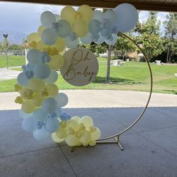 Balloon Arch Baby Shower Birthday Party