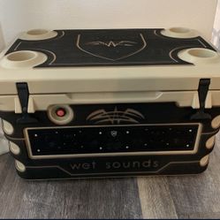 Wetsounds Shivr Cooler 