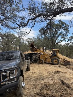Seasoned oak fire wood