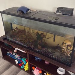 50 Gal Fish tank 