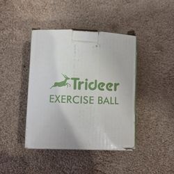 Trideer Exercise Balls Physical Therapy, 9 Inch Pilates Ball Between Knees for Physical Therapy, Mini Exercise Ball - Yoga Ball, Small Workout Balls 