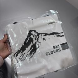 Ski Gloves