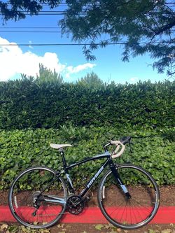Novara Carema 3 Road Bike – Small Frame, Carbon Fork