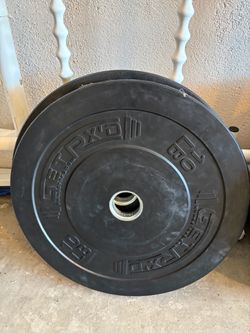 Rogue get RX’d 10lb bumper plates pair