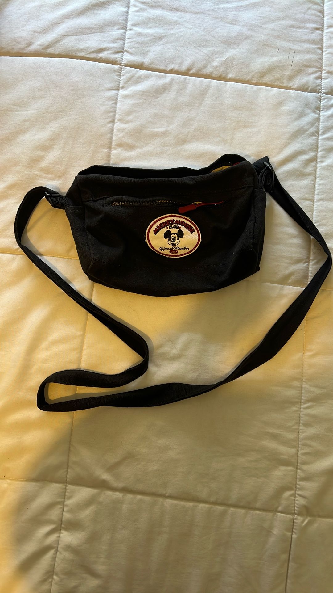 Disney Bag