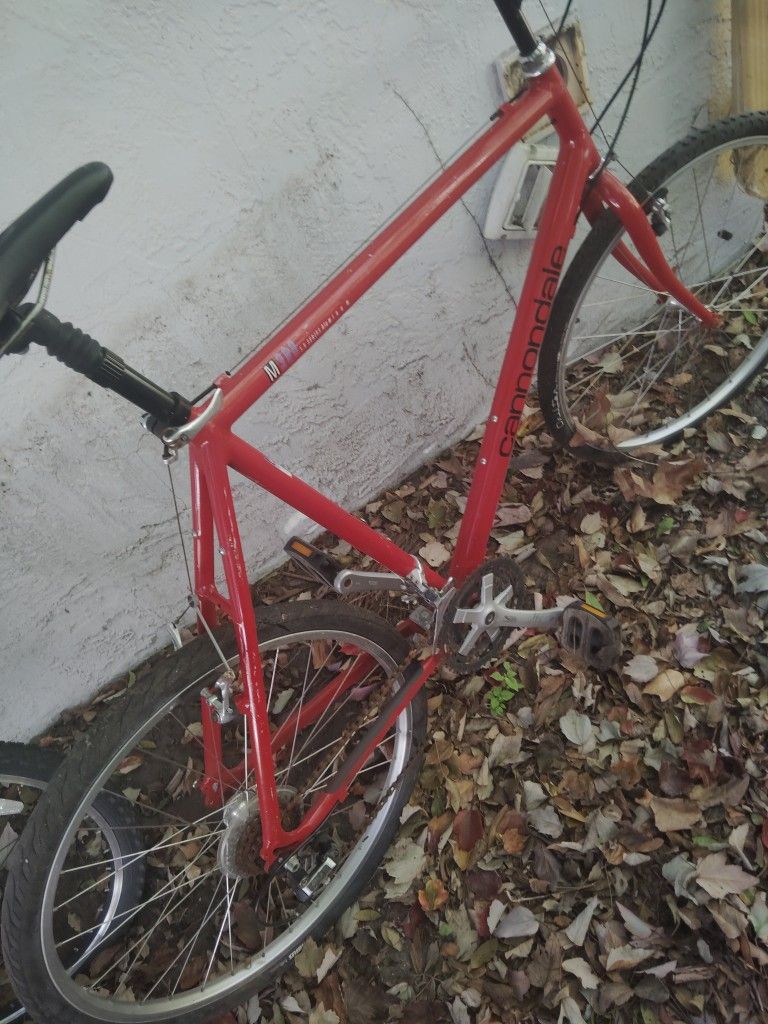 Nice  Cannondale Bicycle 