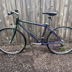 Women’s Trek Bike