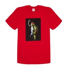 Supreme Raphael Tee - Size S