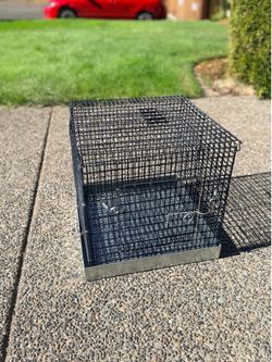 COLLAPSBLE SUGAR GLIDER TRAVEL CAGE