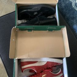 Pumas