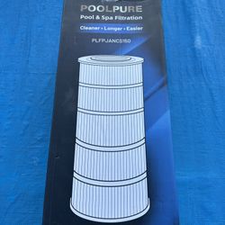 Pool And Spa Filter 