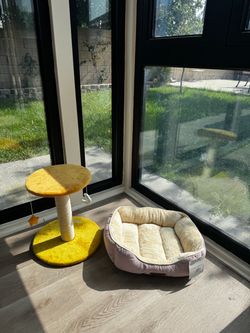 Cat play set and bed