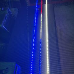 5ft LED Whip Lights