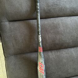 Marucci Cat Baseball Bat