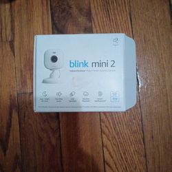 Blink Mini 2