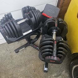 Bowflex Dumbells 10-90 With Stand 