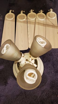 Ceiling Fan With Lights