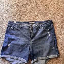 Levi’s Plus Size Shorts