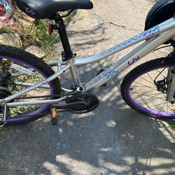 Gary And Purple Liv Bike 