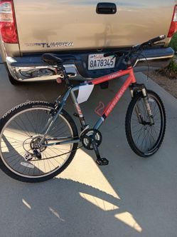 Trek bike