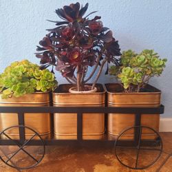 Metal Wagon For Plant (Plants Not Included)