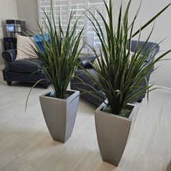 2 Fake Plants 