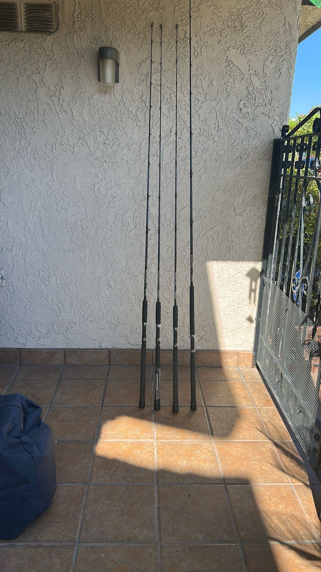 Lamiglas insane Saltwater Fishing Rod