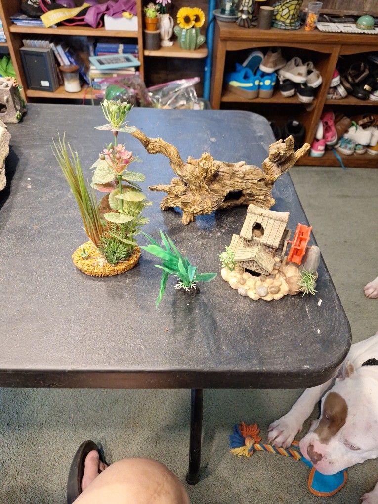 Aquarium decor