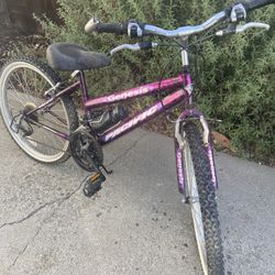 24” Girls Bicycle
