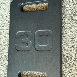 30 Pounds Plate