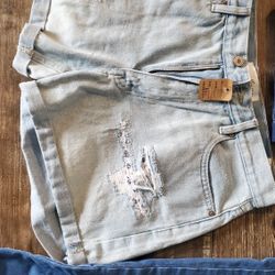 Women's Shorts And Pants