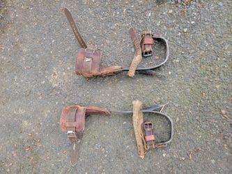 Buckingham Tree Climbing Spurs