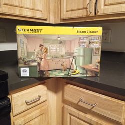 Steam Box Dynamics Steam Cleaner