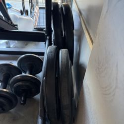 Bench Round Rubber Weight Plates 