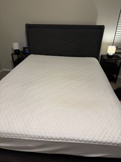 Queen size bedframe/with mattress and mattress box