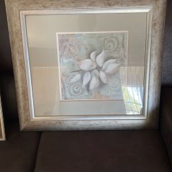 Plant Photos With Frame In Glass