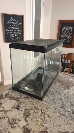 Glass Aquarium Tank with Lid and Filter
