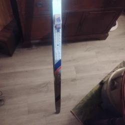 Fisher Cross Country Skis