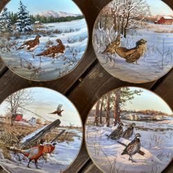 4 Collector Plates