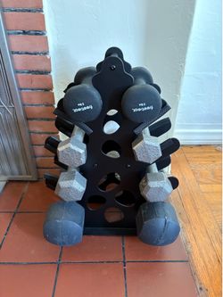 Free Weights + Rack