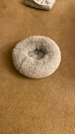 Fluffy Light Blue Cat Bed