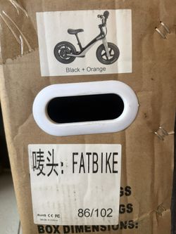 Electric Bike 3-9 Years Old