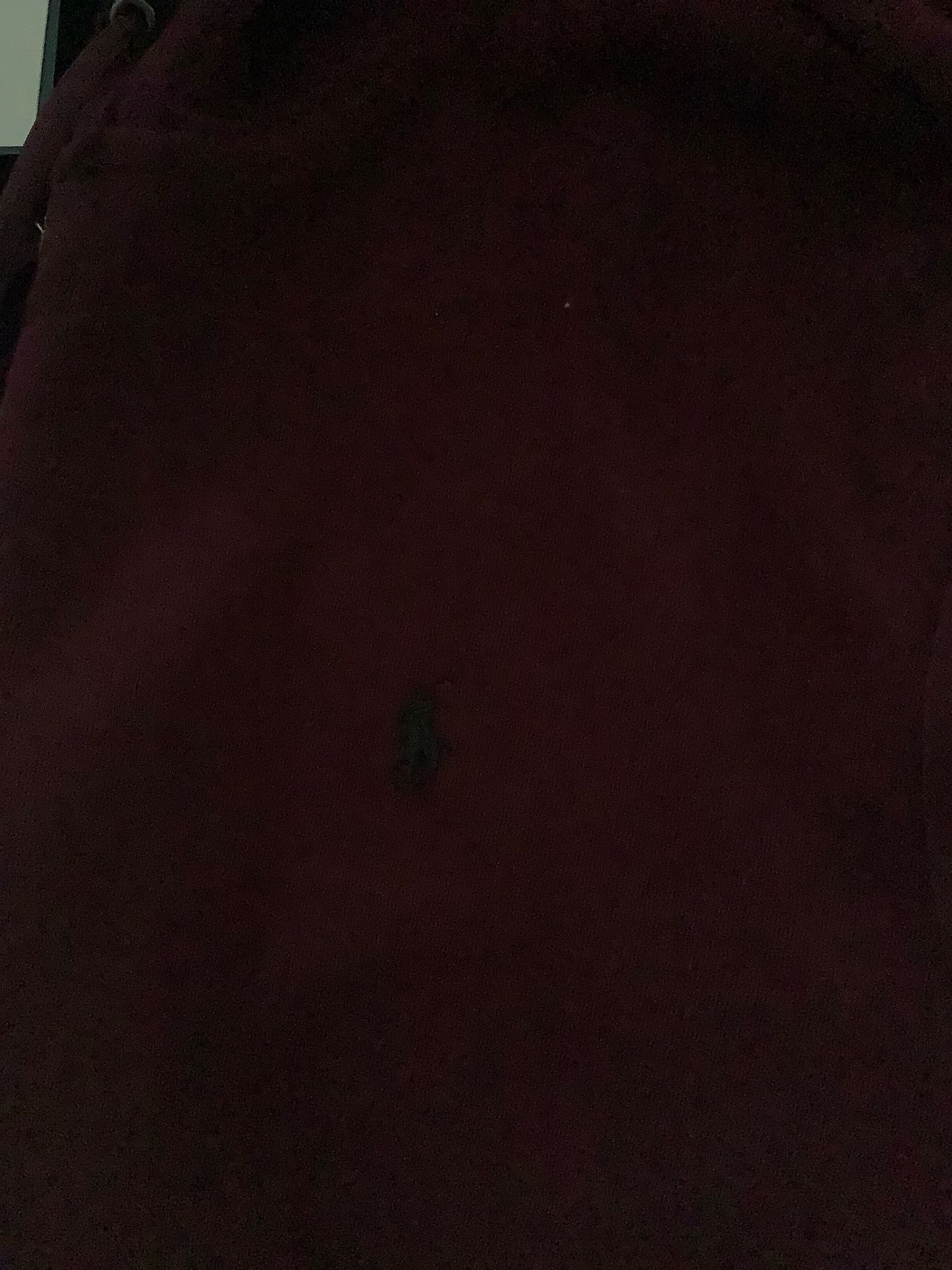 Large champion sweatz and XXL maroon polo sweater BRAND NEW