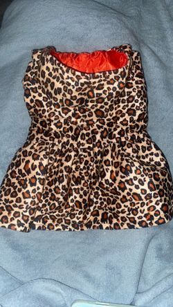 Small Dog Coat