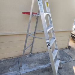Davidson Aluminum Ladder