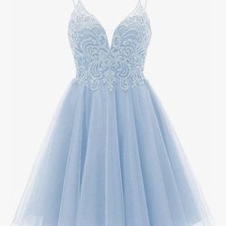 Homecoming/Dama Dress Never Worn Size 14