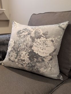 Sofa cushion