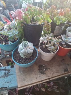 Nursery